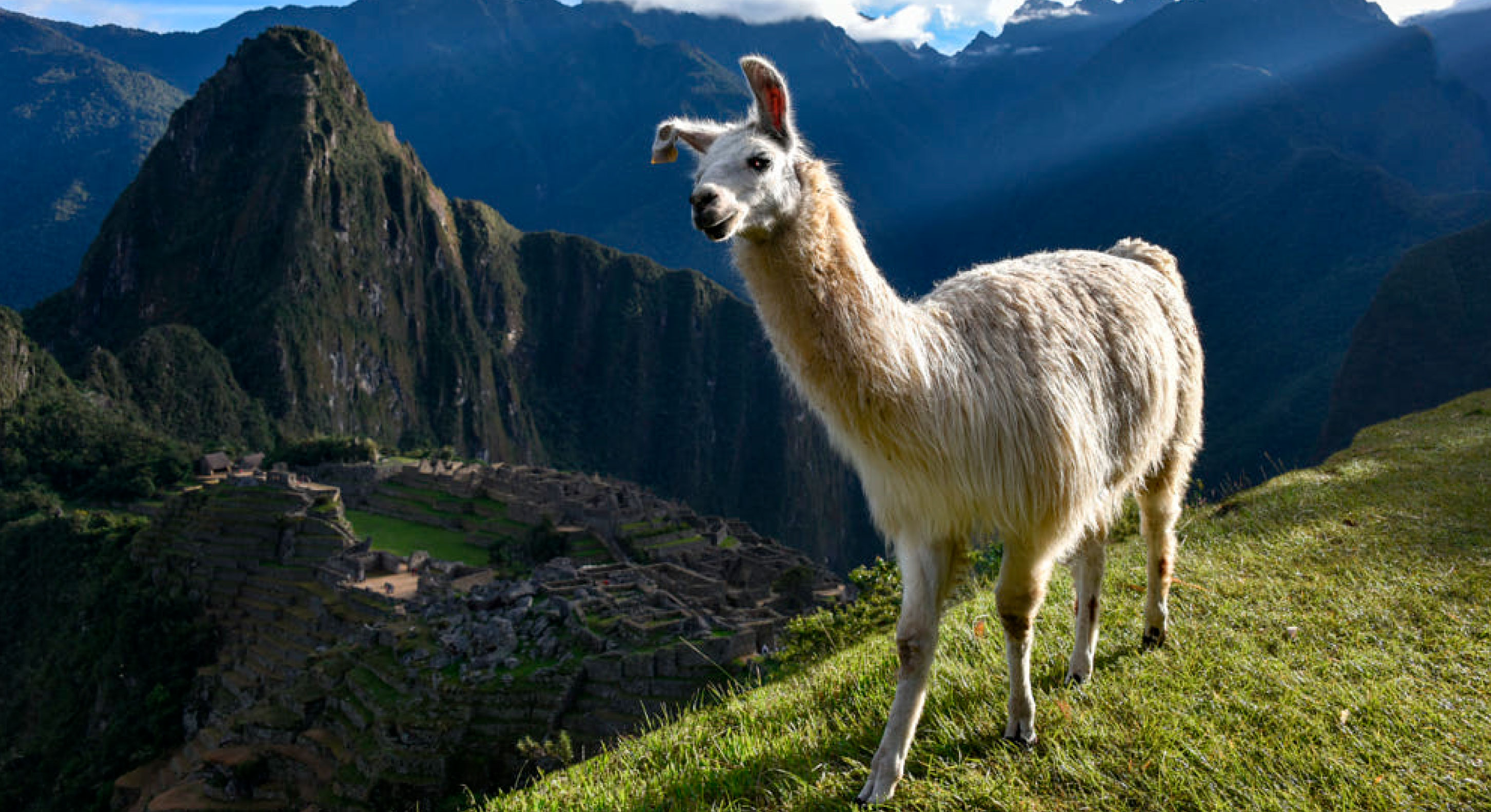 Some of the many reasons to go up to Huayna Picchu