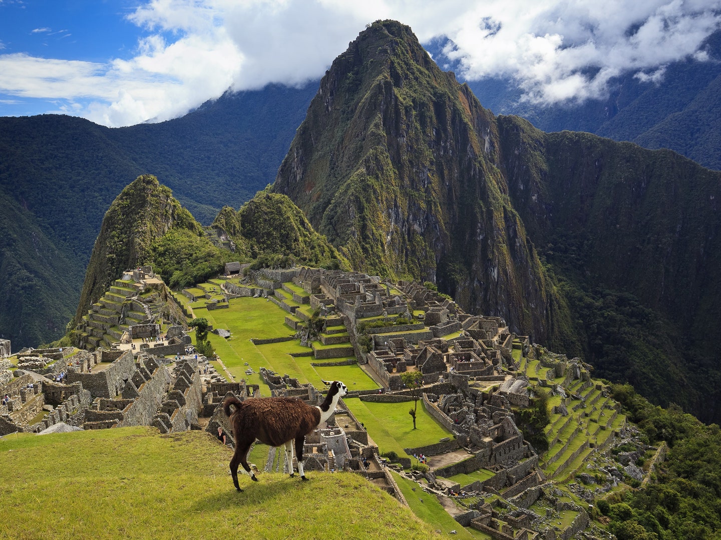 Tour to Machu Picchu 1 Day – With Train From Cusco